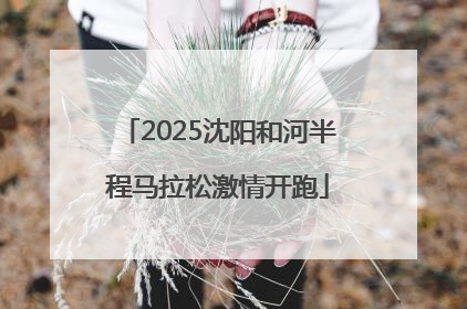 2025沈阳和河半程马拉松激情开跑