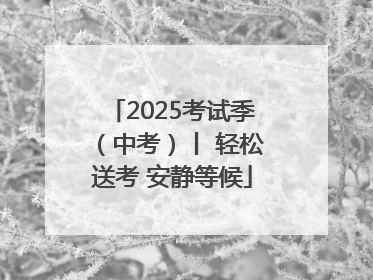 2025考试季（中考）丨 轻松送考 安静等候