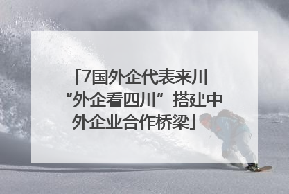 7国外企代表来川 “外企看四川”搭建中外企业合作桥梁