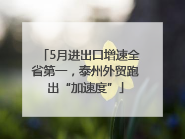 5月进出口增速全省第一，泰州外贸跑出“加速度”