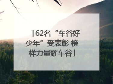62名“车谷好少年”受表彰 榜样力量耀车谷