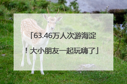 63.46万人次游海淀！大小朋友一起玩嗨了