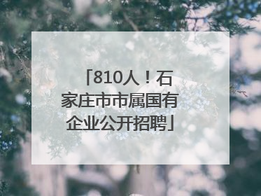 810人！石家庄市市属国有企业公开招聘