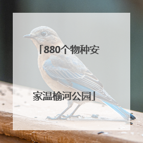 880个物种安家温榆河公园