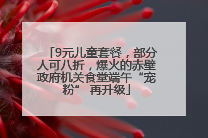 9元儿童套餐，部分人可八折，爆火的赤壁政府机关食堂端午“宠粉” 再升级