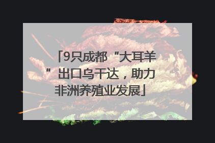 9只成都“大耳羊”出口乌干达，助力非洲养殖业发展