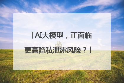 AI大模型，正面临更高隐私泄露风险？