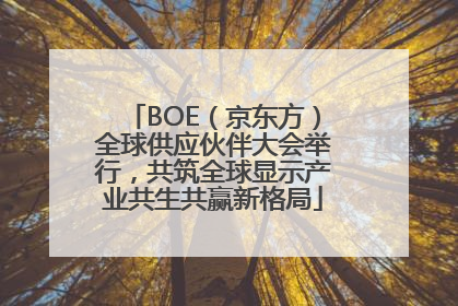 BOE（京东方）全球供应伙伴大会举行，共筑全球显示产业共生共赢新格局