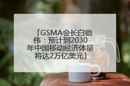 GSMA会长白德伟：预计到2030年中国移动经济体量将达2万亿美元