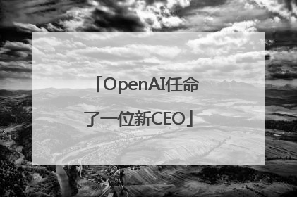 OpenAI任命了一位新CEO