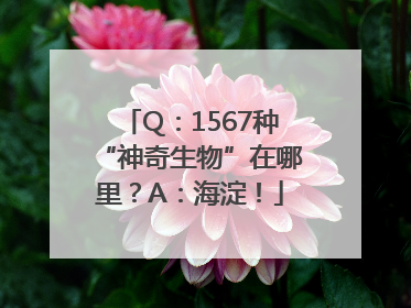 Q：1567种“神奇生物”在哪里？A：海淀！